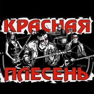 Красная плесень