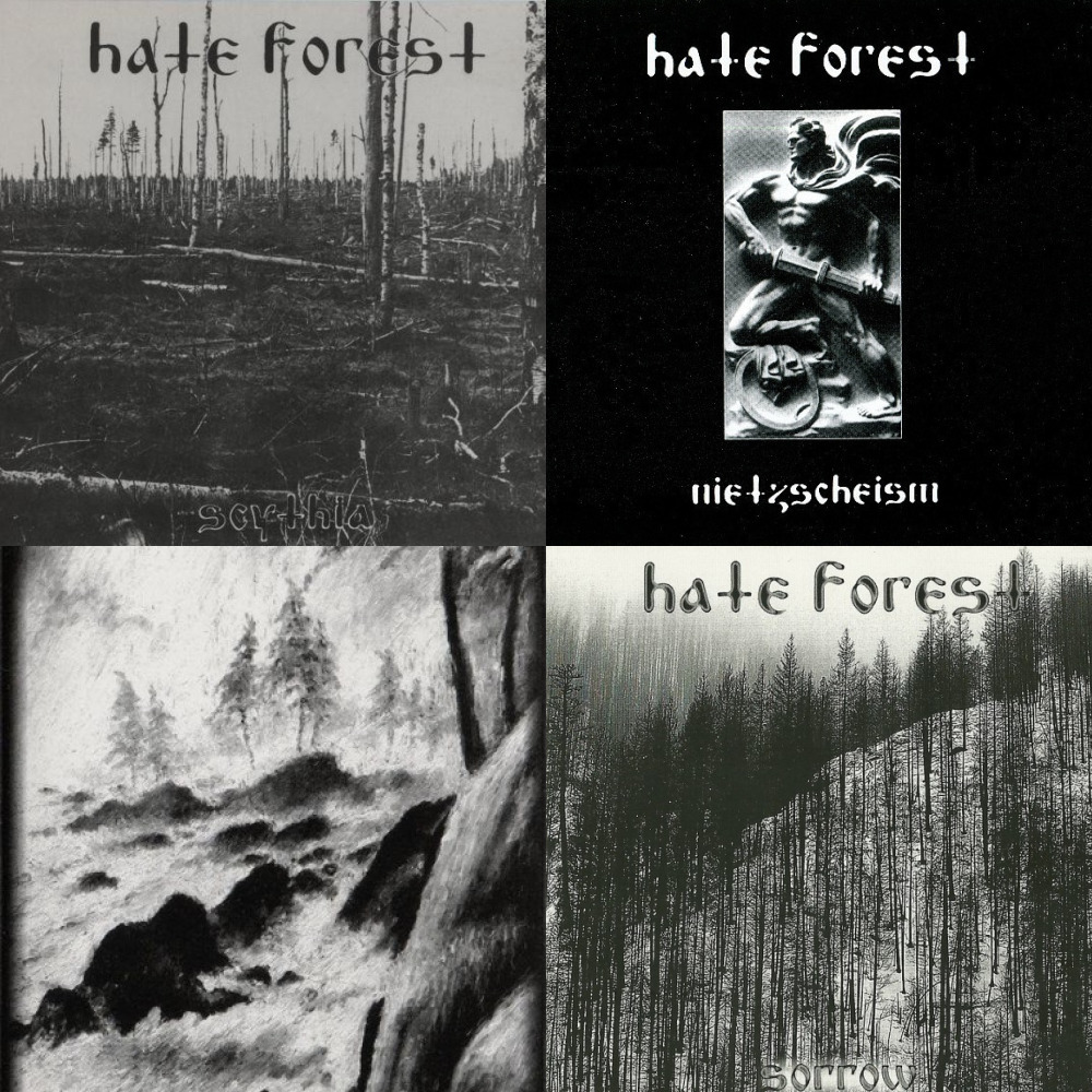Hate Forest (из ВКонтакте)