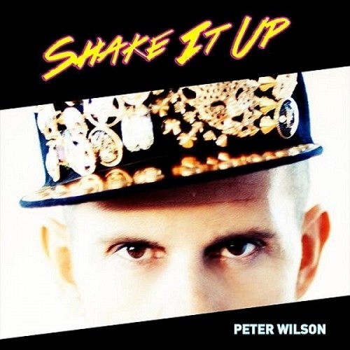 Peter Wilson - Shake It Up (2015)